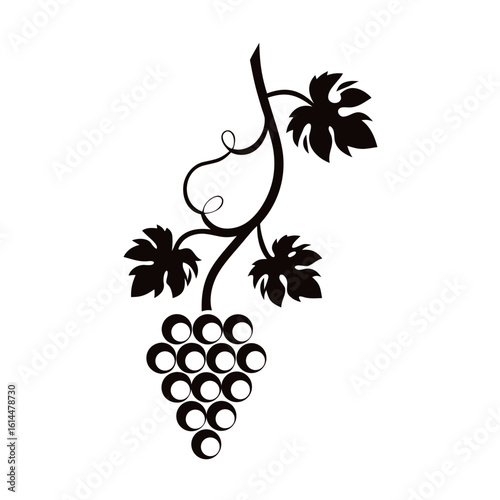 Realistic grapevine illustration with detailed leaves and grapes
