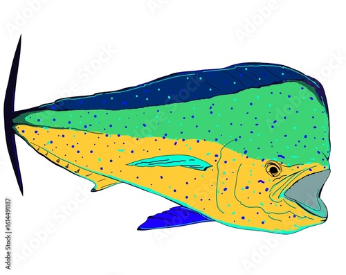 Mahi Mahi fish in action 