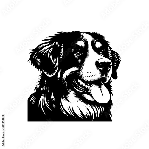 Bernese Mountain Dog Portrait Black and White.