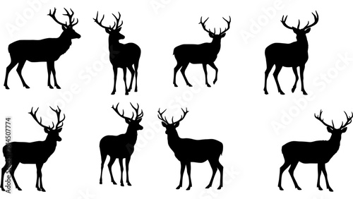 Set of deer silhouette illustration. Deer icon set vector design.
