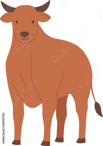 Cow Qurban sacrificial animal for Eid al Adha

