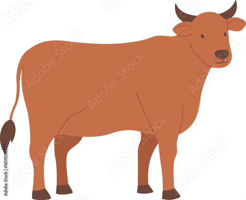 Cow Qurban sacrificial animal for Eid al Adha

