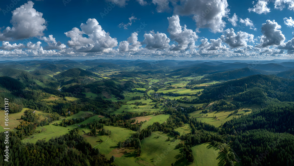 Fototapeta premium Aerial panorama of green grass fields, forests, and blue sky with white cumulus clouds on a sunny summer day