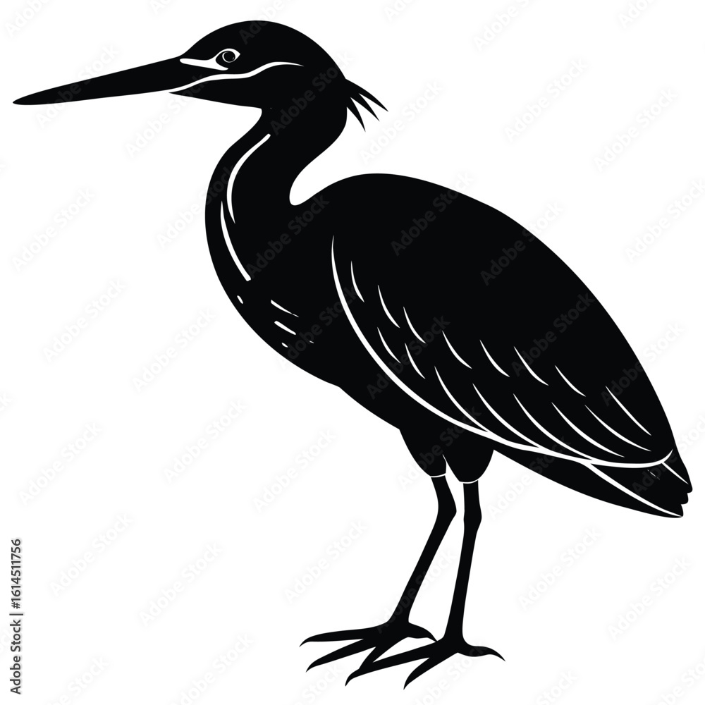Fototapeta premium heron on the beach