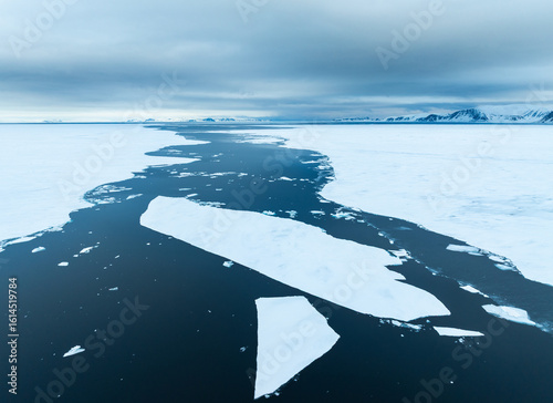 Floating ice shelfs on the ocean with mountains in the background in the arctic of Svalbard, Norway