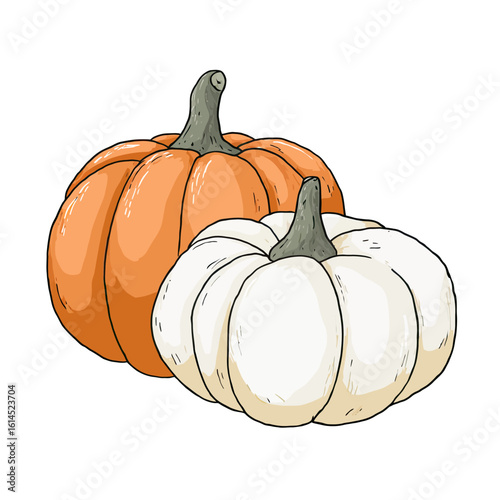 A charming, hand-drawn illustration of two plump pumpkins, one orange and one white, a classic and cozy symbol of autumn, Halloween, and the harvest season.

