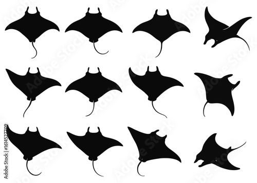 Silhouette illustration of multiple manta rays in various positions, swimming.