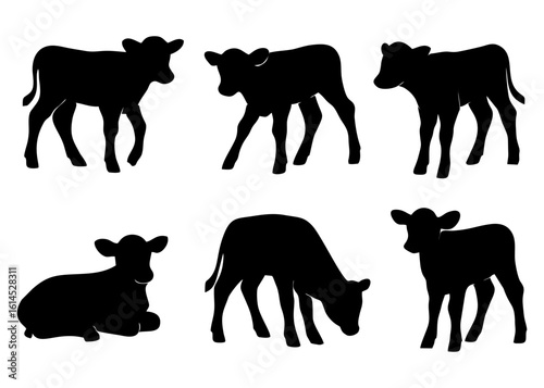 Silhouette illustrations depicting six calves in various poses, including standing, lying down, and grazing.