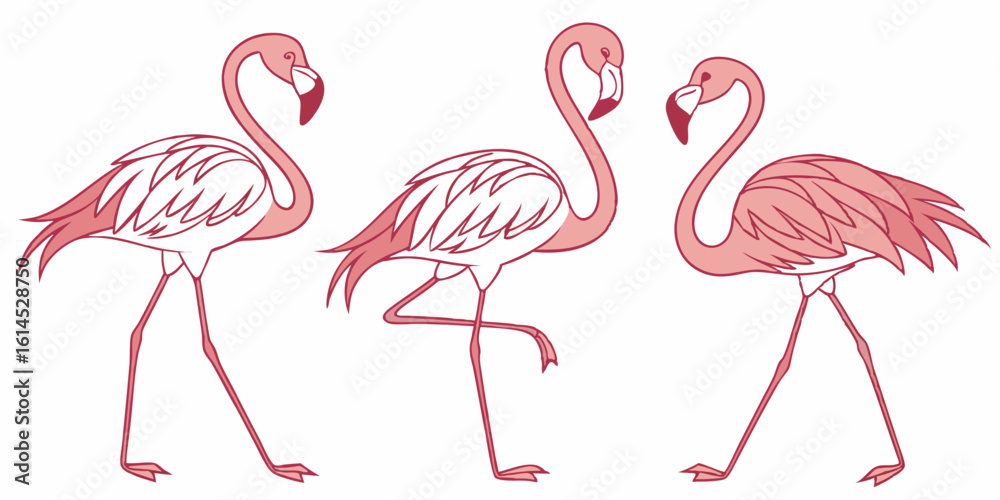 Obraz premium Set of Three Flamingos in Different Poses - Line Art Vector Illustration