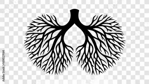 Illustration of a black silhouette of lungs with branching structures on a transparent background view