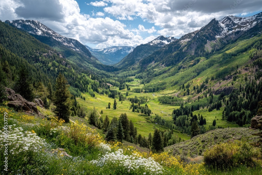 Fototapeta premium Lush valley nestled between snow-capped mountains