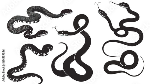 Wallpaper Mural Snakes silhouette isolated in White background Torontodigital.ca