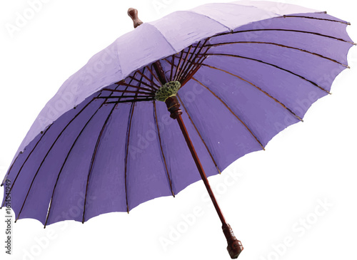 purple parasol vintage style vector illustration	
