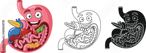 Cartoon stomach anatomy illustration for kids educational resources and health infographics design concept editable