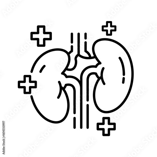 Human Internal Organ Anatomy Line Icon Set. kidney, Liver, Tooth, Brain, Stomach, Heart, Lung, Urinary System, Bone, Skin layer, Intestine Linear. Healthcare Sign. Isolated Vector Illustration.