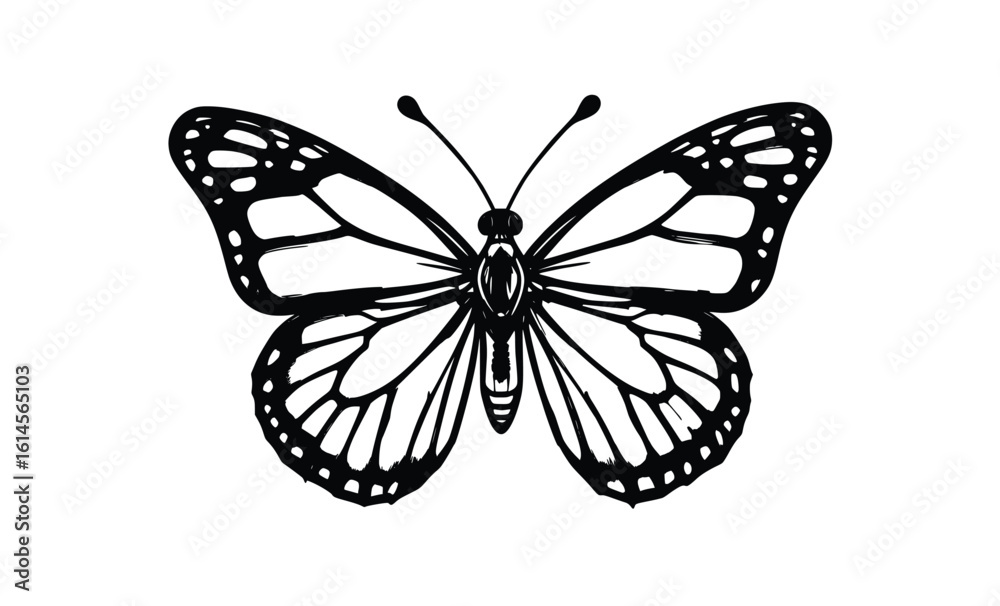 Fototapeta premium Elegant Butterfly Line Art Vector Illustration