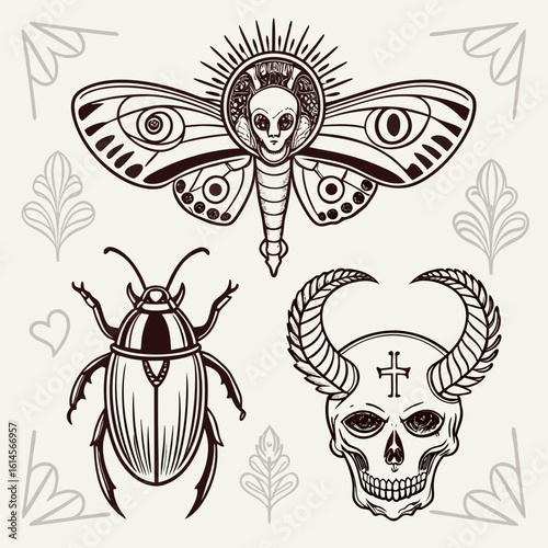 Vector art of vintage skull, moth and beetle vector illustration in a retro gothic style design