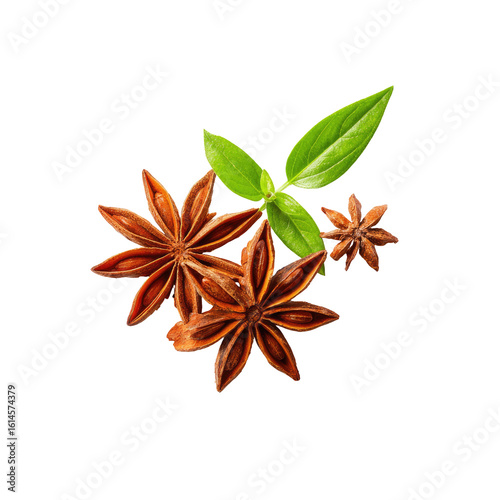 Wallpaper Mural Star Anise spice closeup Torontodigital.ca