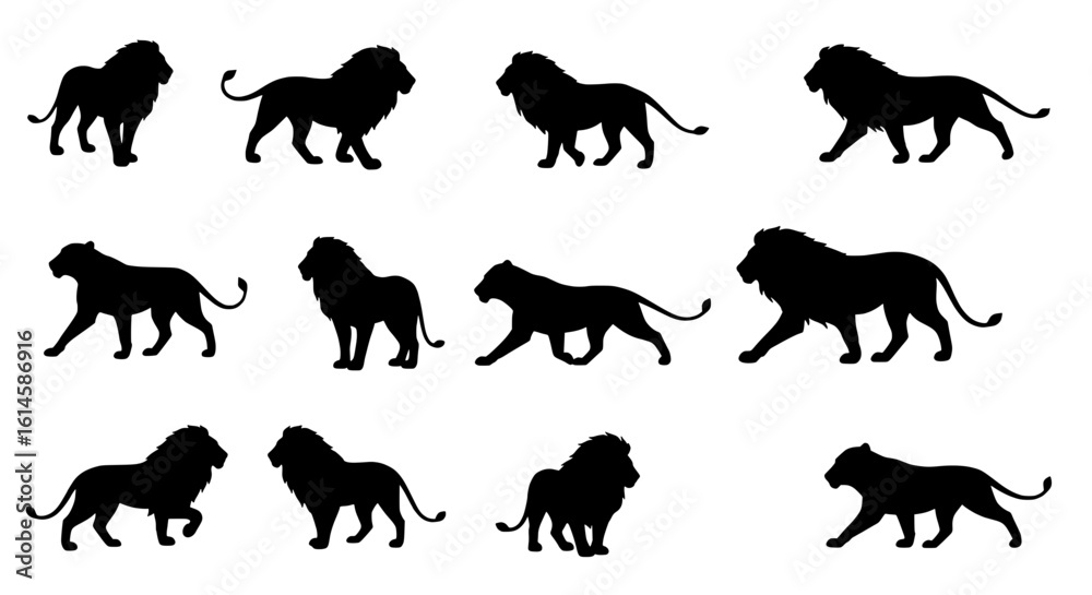 Obraz premium Lion Silhouettes: A collection of majestic lion silhouettes in various poses, embodying strength, power, and grace, perfect for design concepts.