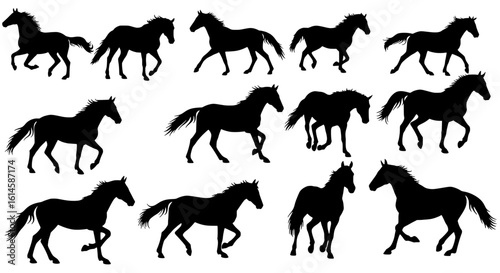 Horse Silhouette Collection: An impressive series of dynamic horse silhouettes galloping, capturing the grace and power of equine movement with a sense of timeless elegance.