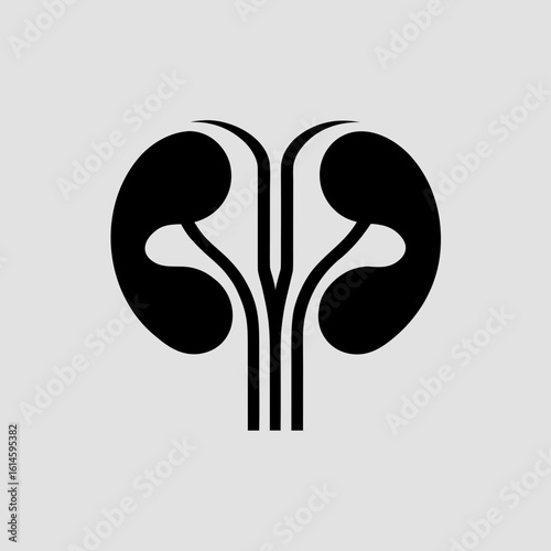 Black Human Urinary System Vector Graphic on White Background kidney anatomy