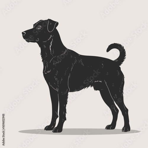 black dog vector