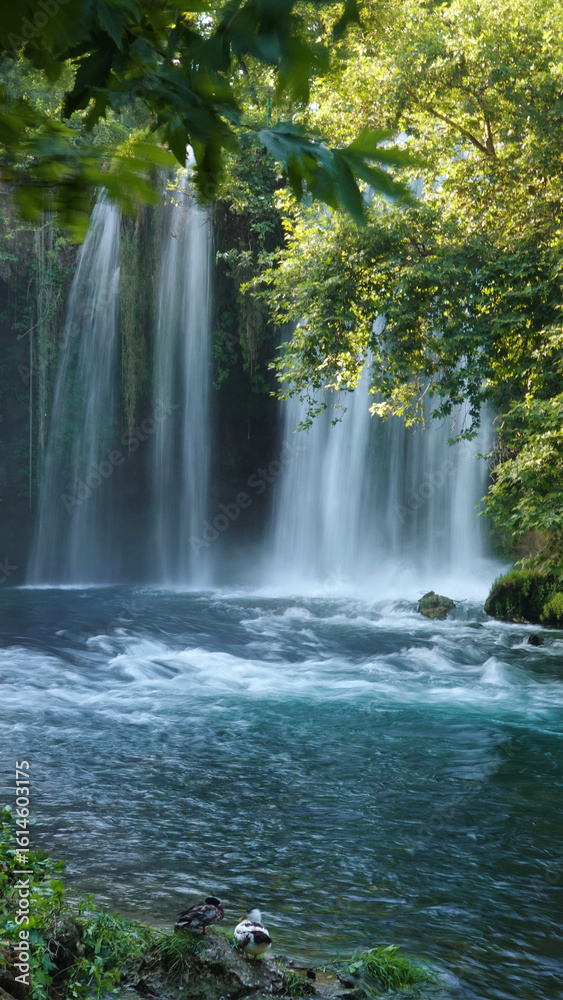 Naklejka premium Beautiful view of waterfall in the forest