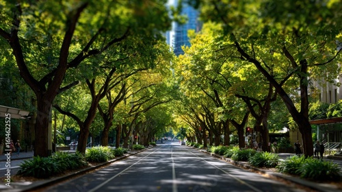 Strolling through a lush tree-lined avenue in the heart of the city nature photography urban environment