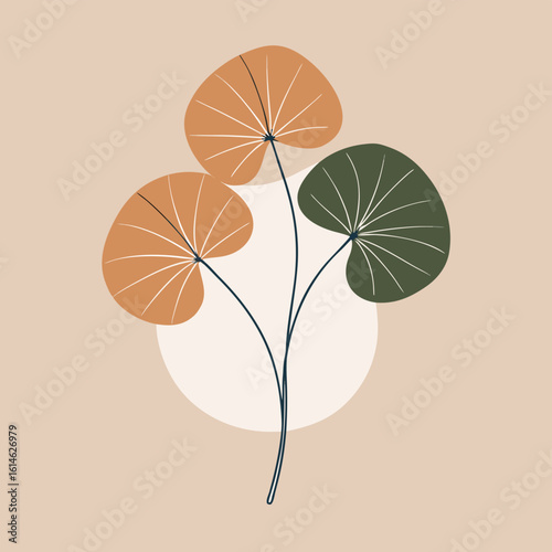 Delicate minimalist gotu kola line drawing illustration