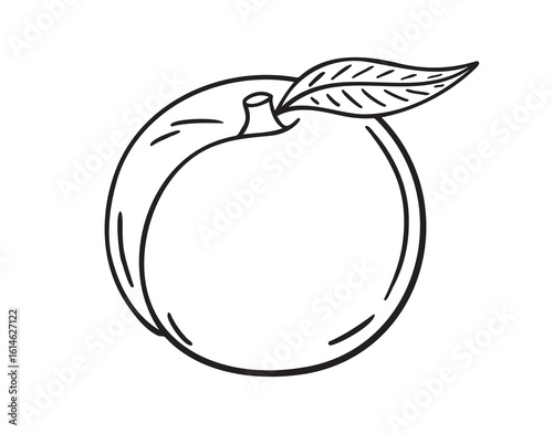 peach icon doodle hand drawn. Outline peach line drawing clipart symbol