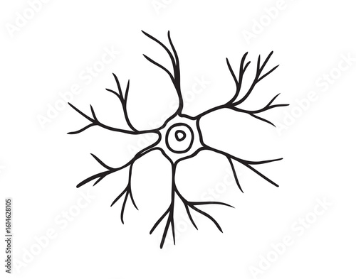 neuron cell doodle hand drawn icon. Outline pyramidal neuron cell drawing line clipart symbol