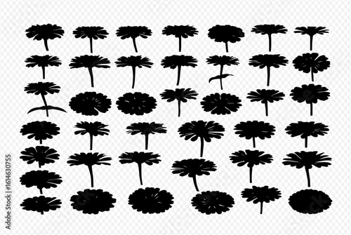 Collection of thirty-six black silhouette illustrations of daisies, various views.