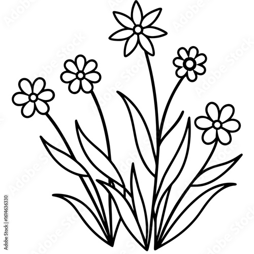 Wild Flowers Coloring Page, Floral Outline, Nature Drawing, Meadow Coloring Sheet