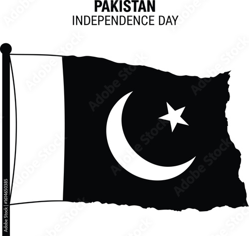 Vector art of a black and illustration of the pakistan independence day flag