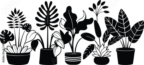 Collection of potted houseplants in a distinctive silhouette style