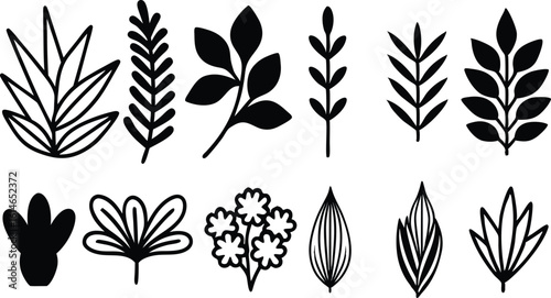 Collection of hand drawn botanical elements silhouette