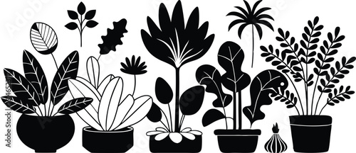 Collection of diverse houseplants in pots silhouette