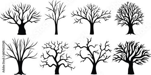 Collection of bare winter tree silhouettes against white background silhouette
