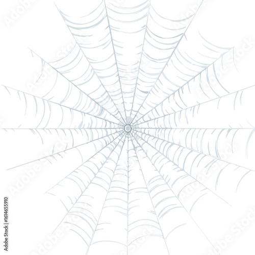 spider web isolated in White Background, spider web vector, Flat lay vector illustration