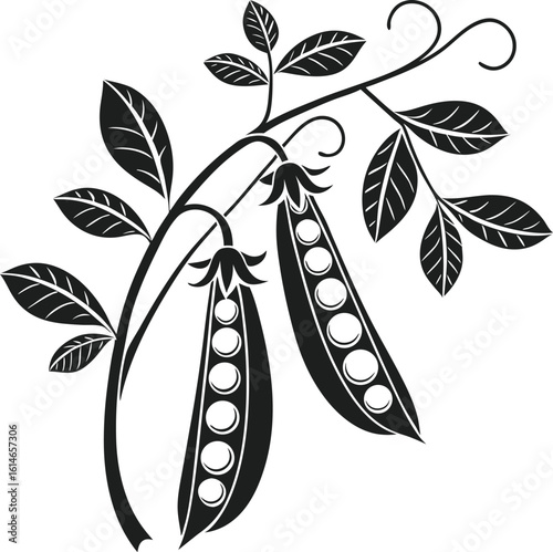  Simple flat and single minimalist peas silhouette illustration