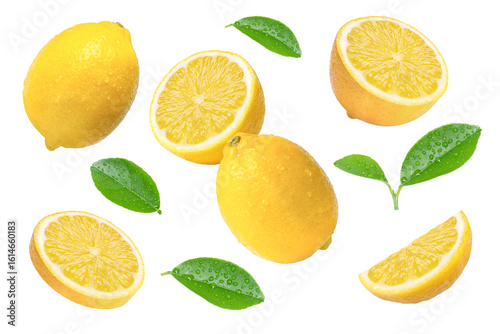 Wallpaper Mural set of citrus lemon fruit isolated Torontodigital.ca