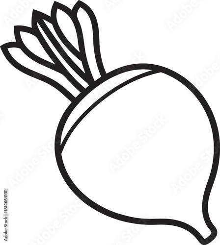 Minimal black and white line drawing of a beetroot growing in a garden center framed with delicate leaves in a clean vector style on a bright white background
