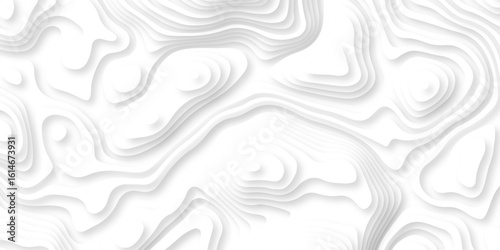 Abstract white paper cut background with lines. Background of the topographic map. White wave paper curved reliefs abstract background. Realistic papercut decoration textured with wavy layers.