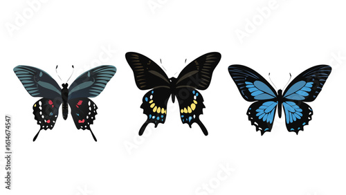 spicebush-swallowtail-butterflies-icon-set