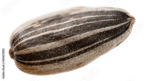 Wallpaper Mural A single sunflower seed with a striped pattern, isolated on a white background. Torontodigital.ca