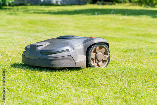 Robotic lawn mower automatically cutting grass on green lawn in sunny backyard. Modern smart gardening technology device working on residential yard maintenance.