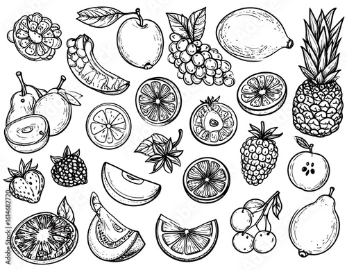 Hand-drawn sketch of various fruits and fruit sections