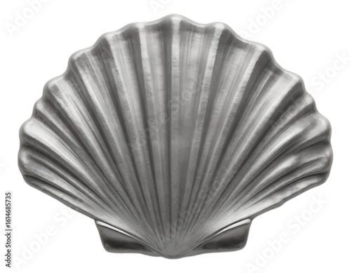 Realistic Silver Seashell on Transparent Background