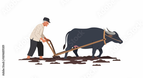Elderly farmer plowing a muddy field with a water buffalo, depicting traditional agriculture.