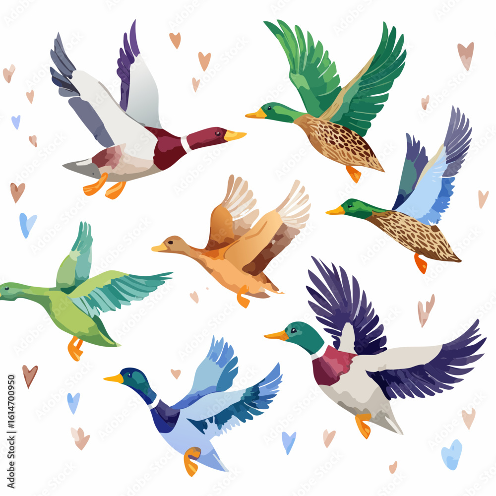 Obraz premium Flock of flying watercolor hand drawn ducks mallard birds in motion, hand-painted wildlife clipart